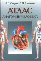 Атлас анатомии человека Самусев Липченко читать онлайн