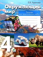 Тетрадь для практических работ Окружающий мир 4 класс Чудинова скачать бесплатно