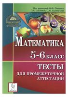 Математика 5-6 класс Тесты для промежуточной аттестации Лысенко Ольховая Кулабухов читать онлайн бесплатно