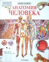 Анатомия человека Марк Крокер читать онлайн бесплатно