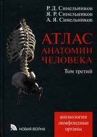 Атлас анатомии человека Синельников Том 3 читать онлайн бесплатно