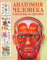Анатомия человека Системы и органы Лучшие в мире анатомические таблицы Бехен читать онлайн бесплатно
