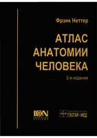 Атлас анатомии человека Неттер Фрэнк читать онлайн бесплатно