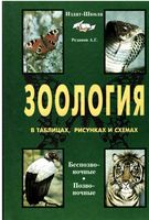 Зоология в таблицах схемах и рисунках Резанов читать