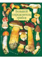 Большой определитель грибов Юдин читать
